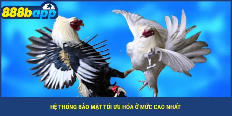 Hệ thống bảo mật tối ưu hóa ở mức cao nhất