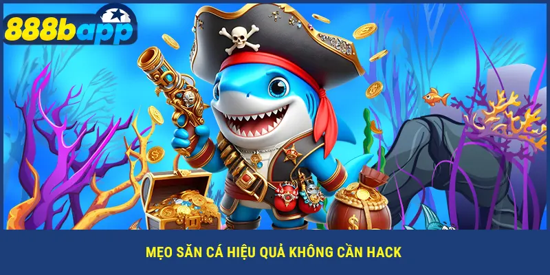 Mẹo săn cá hiệu quả không cần hack